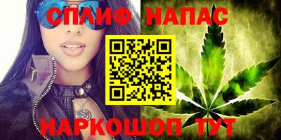 гашик Пыть-Ях