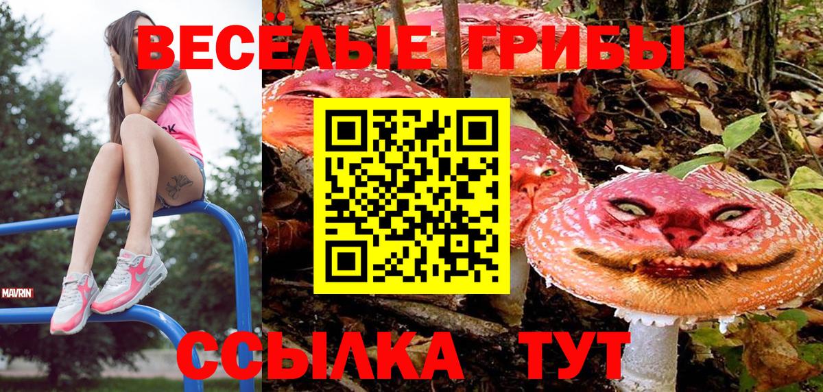 где можно купить   Вход с VPN  Саров  Псилоцибиновые грибы Cubensis 