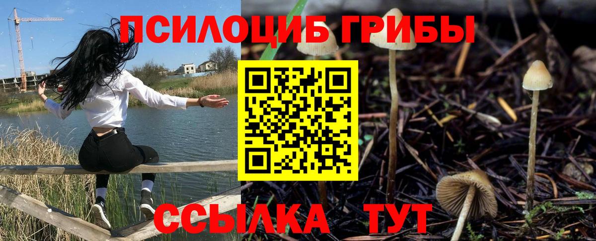 Галлюциногенные грибы прущие грибы Саров
